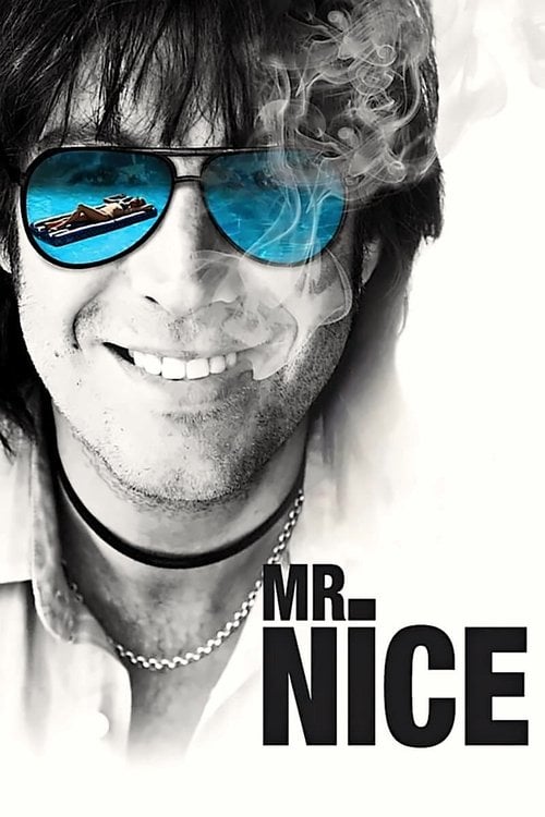 Постер Славний малий (2010)