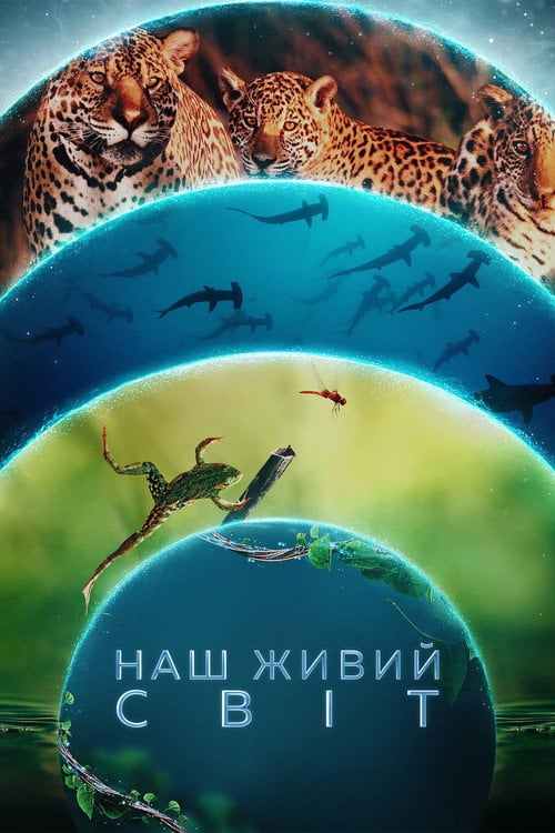 Постер Наш живий світ (2024)