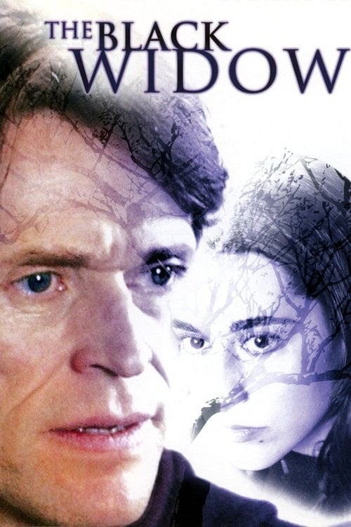 Постер Спочатку було ім'я / Чорна вдова (2005)