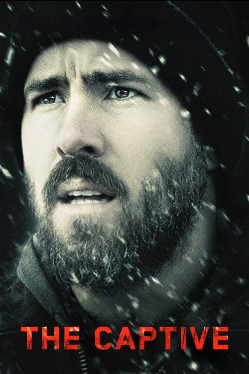 Постер Полонянка (2014)