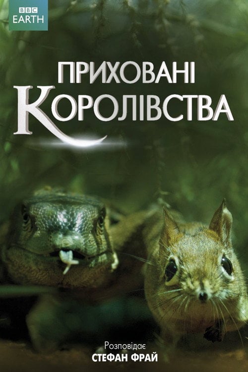 Постер Приховані королівства (2014)