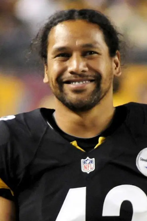 Фото Troy Polamalu
