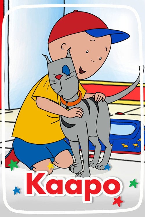 Постер Каю (1997)