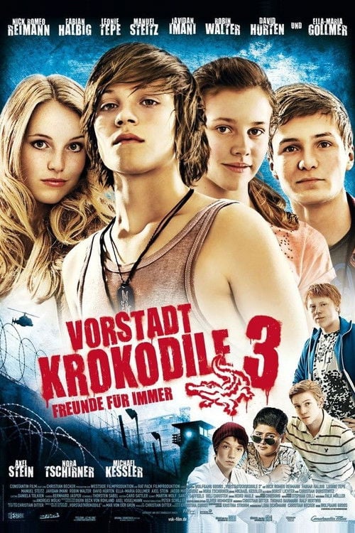 Постер Крокодили з передмістя 3 (2011)