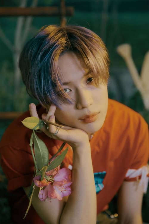 Фото 태민