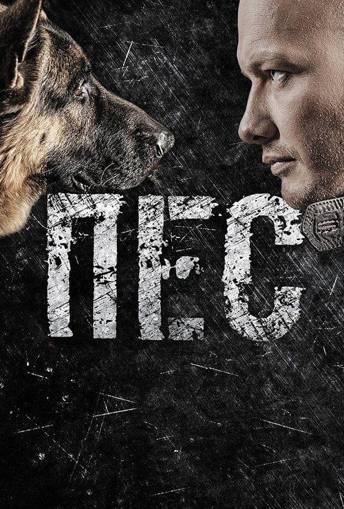 Постер Пес (2015)