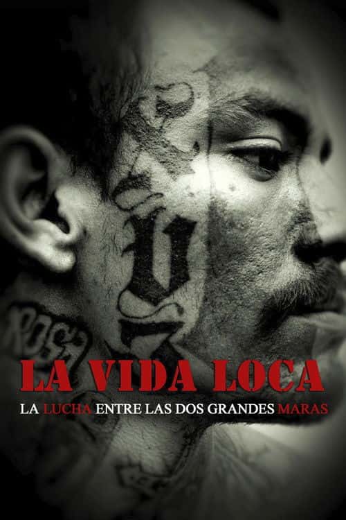 La vida loca