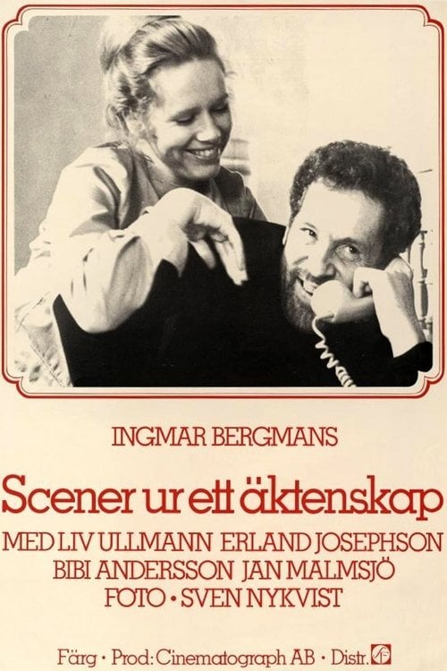 Постер Сцени з подружнього життя (1973)