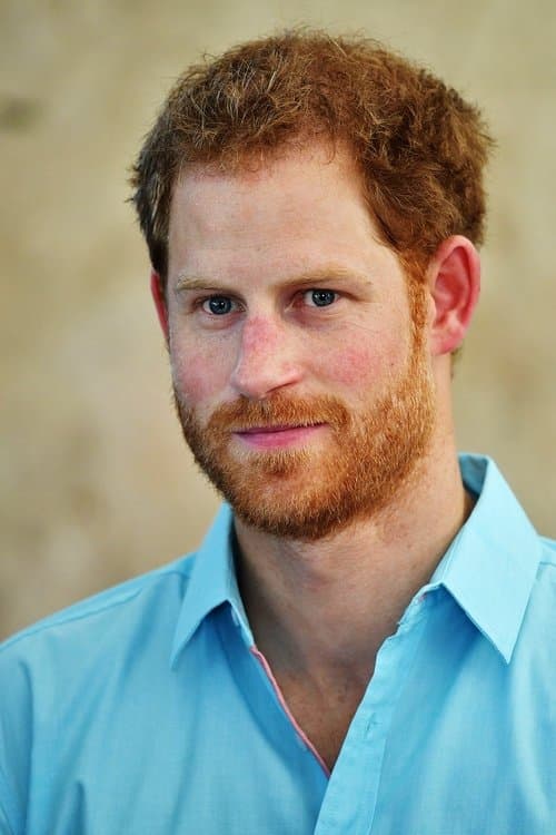 Фото Prince Harry, Duke of Sussex