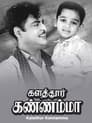 디어 마이 프렌즈