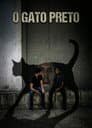 O Gato Preto
