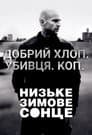 Низьке зимове сонце