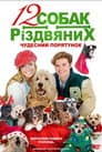 12 Різдвяних собак: Чудесний порятунок