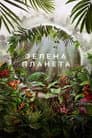 Зелена планета