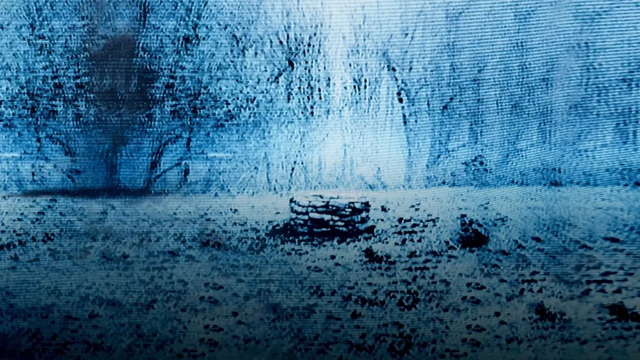 Кадр з фільму Дзвінок (2002)