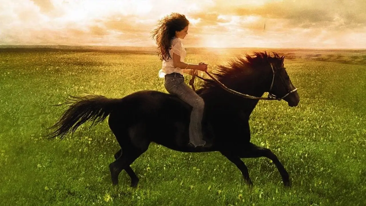 Кадр з фільму Фліка (2006)