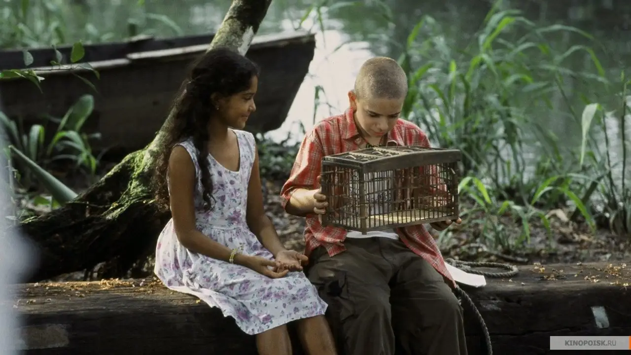 Кадр з фільму Блакитний метелик (2004)