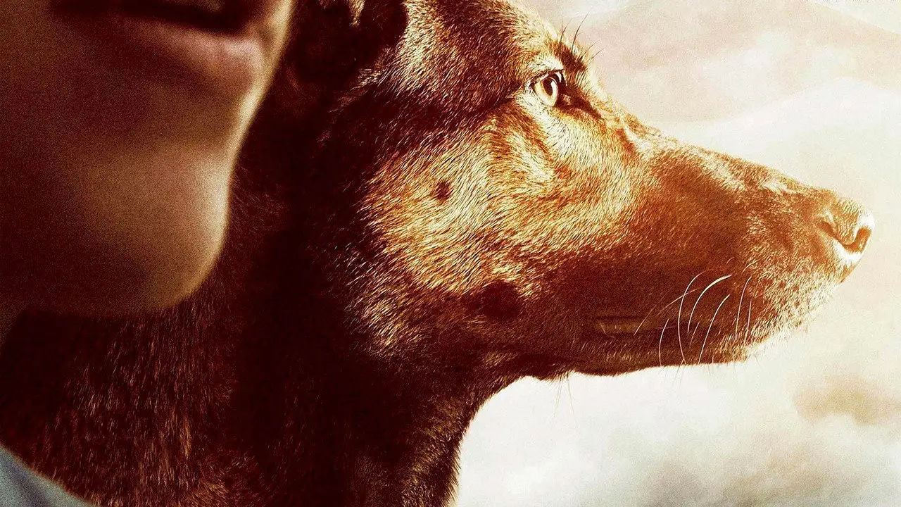 Кадр з фільму Макс (2015)