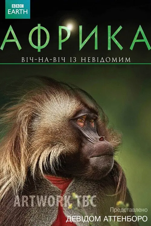 Африка