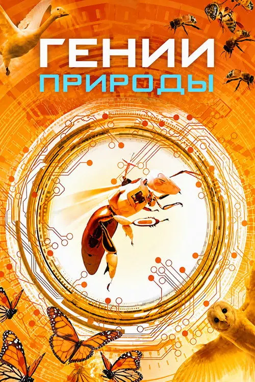 ТерраМатер